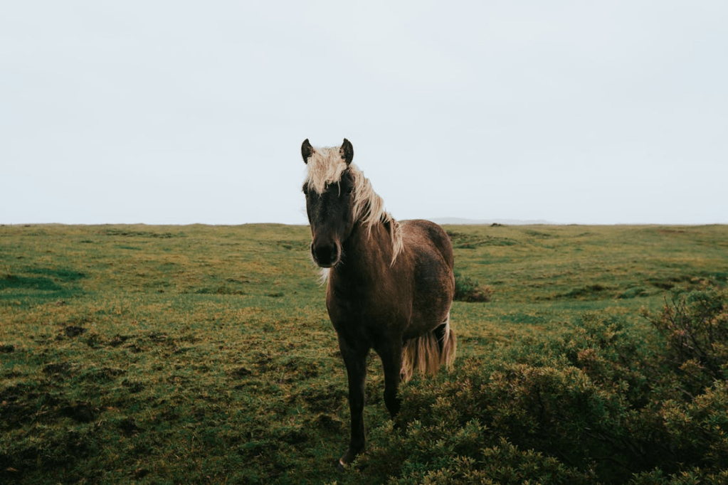 Why Destination Storytelling Matters More Than Traditional&nbsp;Ads